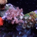 my 30gal bow