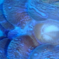 DSC03592