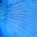 DSC03601