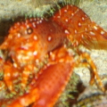 DSC03633