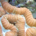 DSC03665