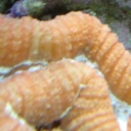 DSC03666