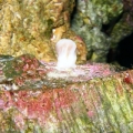 DSCF3854