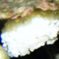 Eggs?