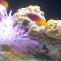 My room 10g nano