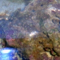 DSCF0030