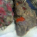 DSCF0033
