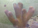th_Picture019