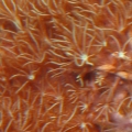 5-25-09_037