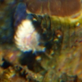5-29-09_010