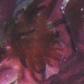 need id