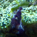 6-5-09_001