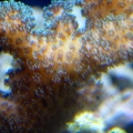 6-5-09_002