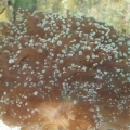 DSCF0858