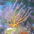 updated pics