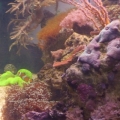 updated pics
