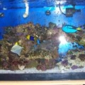 addedpics001