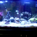75 gal