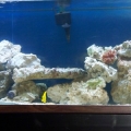 FTS