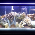 photo11