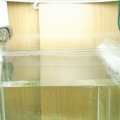 Beginner's Nano Tank