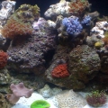 MyTankStage4