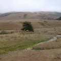 Highway 1 near Jenner, CA