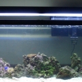 55 gal.