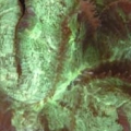 greenbr