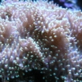 Picture_197