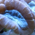 Picture_199