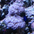 Picture_201