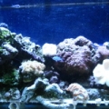 Picture_202