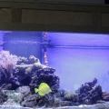 90 gal