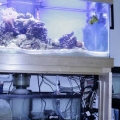 90 gal