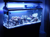 Corner