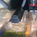 wet/dry (sump)