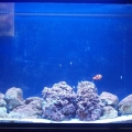 tank28