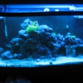my 90 gallon