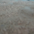 white ??? on my sand after introducing the live rock