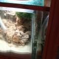 Refugium