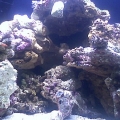Biocube_front