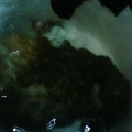 tank re aquascape