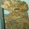 live rock, curing