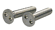 security screw