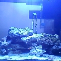 fishtank3