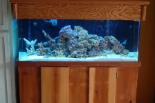 Reef'er madness