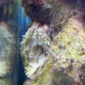 Is my BTA sick?