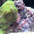GSPs and Mushroom Rock