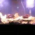 Photo0023